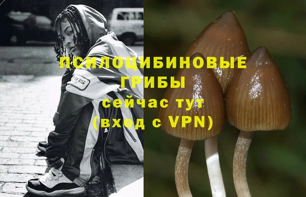 не бодяженный Нея