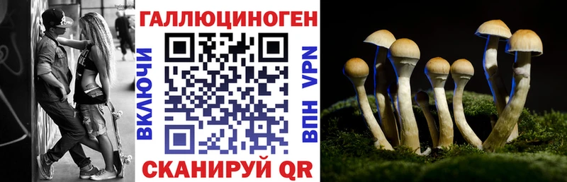 Галлюциногенные грибы Psilocybine cubensis сайты даркнета состав Тырныауз